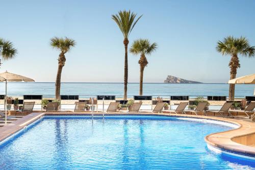 una piscina con sillas y palmeras en INNSiDE by Meliá Costablanca - Adults recommended, en Benidorm