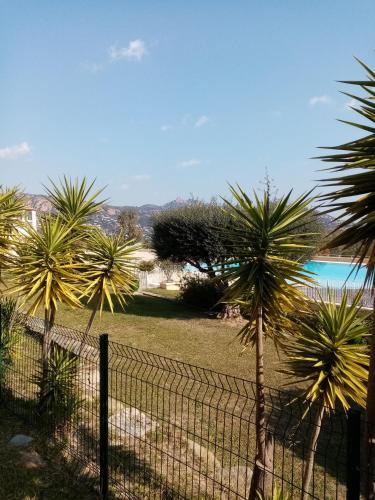 a fence with palm trees next to a body of water at Studio 4 Pers Vue Mer Cap Esterel in Saint-Raphaël