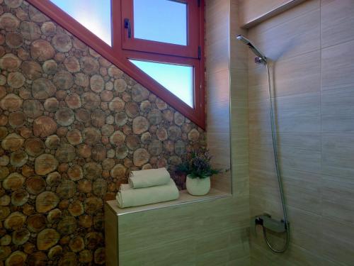 a bathroom with a shower and a wooden wall at Vesta in Thessaloniki