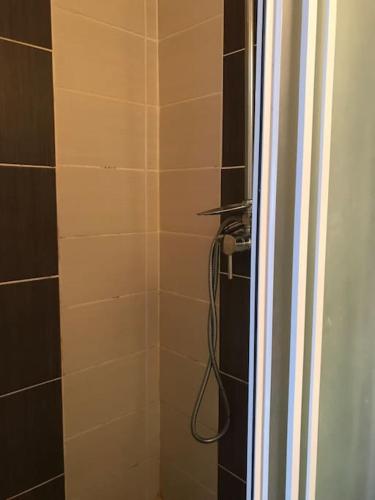 a bathroom with a shower with a hose at Joli T1 classe 2* avec balcon proche plages in Saint-Gilles les Bains