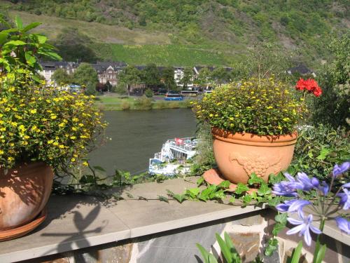 two pots of flowers sitting on a ledge next to a river at Alte Weinbauschule in Cochem