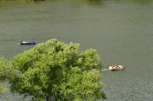 two boats on a river with a tree at Alte Weinbauschule in Cochem