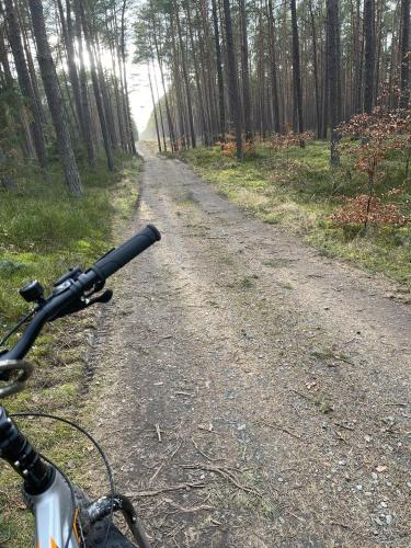 a bike parked on a dirt road in the woods at Golden Dune 100m od plaży in Międzyzdroje