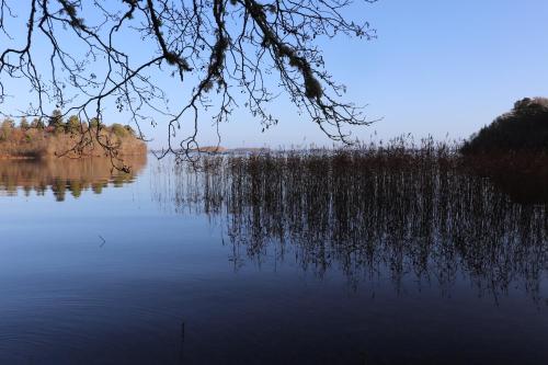 a view of a body of water with trees and grass at Currarevagh House in Oughterard