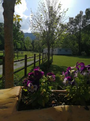 einen Garten mit lila Blumen neben einem Zaun in der Unterkunft Il Cinisco in Frontone