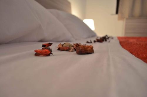 a group of birds sitting on a bed at Casa Levante in Augusta