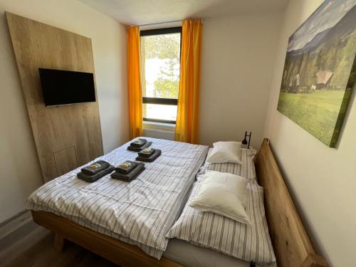 a bedroom with a bed with a television on it at Apartmán 1000 m n. m. in Stachy