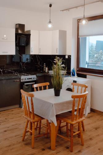 A kitchen or kitchenette at Willa Cicha