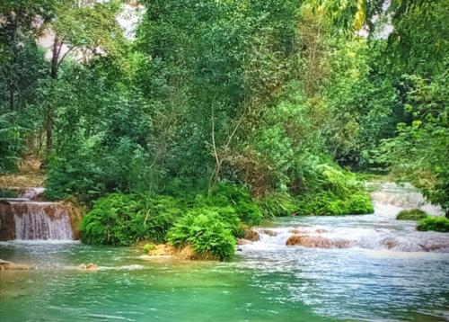 a river with a waterfall in a forest at Room in Cabin - Cabins Sierraverde Huasteca Potosina Green Cabin in Damían Carmona