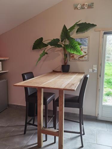 une table en bois avec des chaises et une plante en pot. dans l'établissement Obungalow de July Belle vue, à Saint-Julien-sur-Calonne
