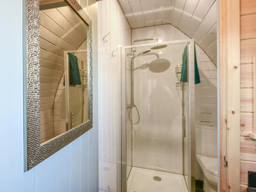a bathroom with a shower and a toilet and a mirror at Creyr Glas Pod -uk41796 in Hirnant