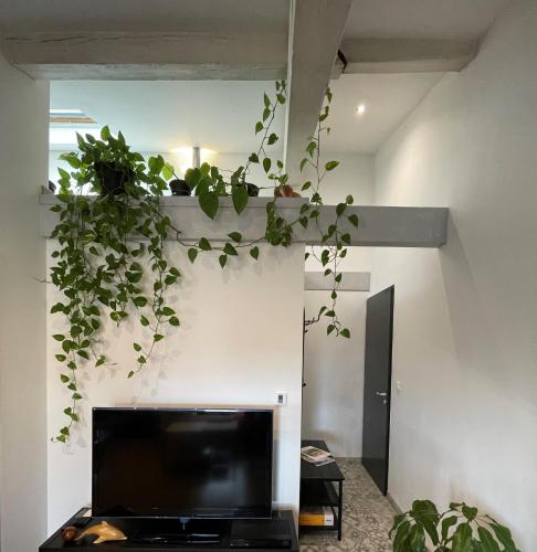 un salon avec une télévision et des plantes dans l'établissement T2 de 40 m2 - facile d’accès, lumineux et au calme, à Saint-Genest-Lerpt