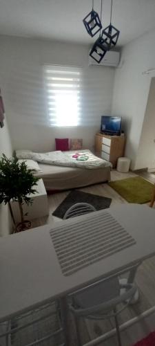 una habitación con 2 camas y una mesa con una planta en Apartment Capital Town Novi Sad en Novi Sad