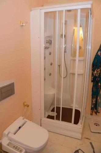 a white bathroom with a toilet and a shower at Herdade da Fonte Ferreira in Avis
