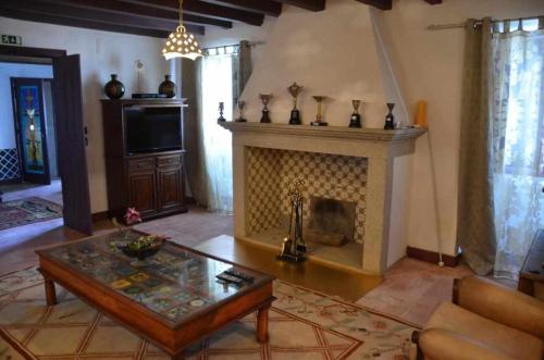 a living room with a fireplace and a coffee table at Herdade da Fonte Ferreira in Avis