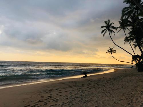 a person standing on a beach with a palm tree at Mandy House in Habaraduwa