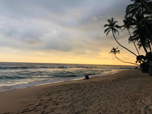 a beach with two palm trees and the ocean at Mandy House in Habaraduwa