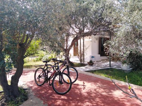 Jízda na kole v ubytování Cottage1Το μικρό σπίτι στο λιβαδι nebo okolí