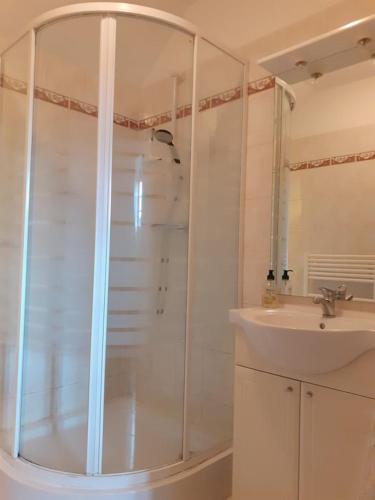 une salle de bain avec douche et lavabo dans l'établissement Maison rénovée sur domaine viticole Renovated old house on wine estate, à Chassey-le-Camp