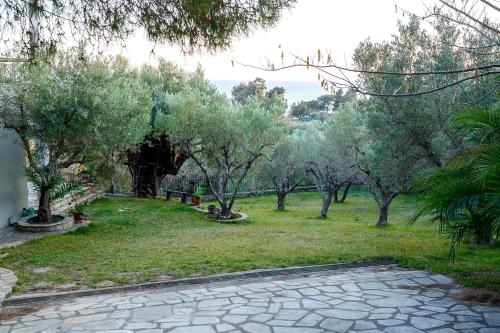 a garden with trees and a stone walk way at Kastri Treehouse in Nikiti