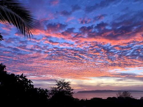 a sunset over the water with a palm tree at Rustic Cabin in Pavones surf brake in Pavones