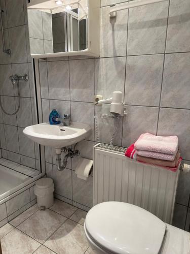 La salle de bains est pourvue de toilettes, d'un lavabo et d'une douche. dans l'établissement Gasthof „Zum Schwan“, à Langenbach