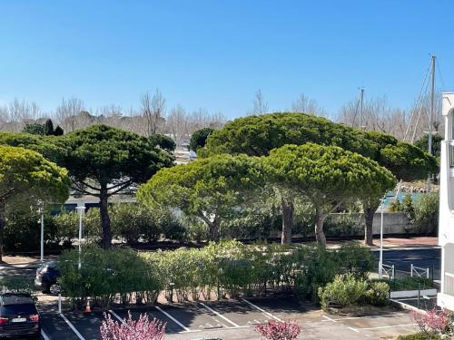 Vonkajšia záhrada v ubytovaní Joli Studio Cabine - Port Camargue - Plage Sud