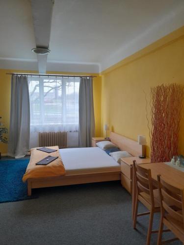 a bedroom with a bed and a table and a window at Motel Grádo in Prague