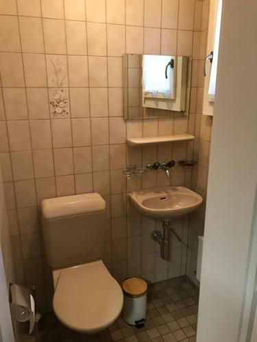 uma pequena casa de banho com WC e lavatório em Simple Studio in the Center of Burgdorf - 36 m2 with prívate parking em Burgdorf
