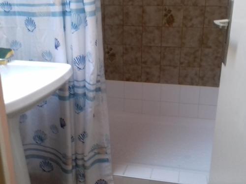 une salle de bain avec un rideau de douche et un lavabo dans l'établissement Maison en pierre 3 pièces avec terrasse, proche plage, dunes et sentiers côtiers à Plouhinec - FR-1-397-33, à Plouhinec