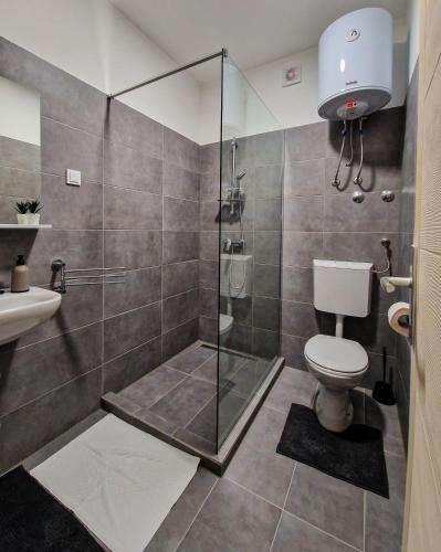 a bathroom with a shower and a toilet and a sink at XXL Rooms Osijek in Osijek