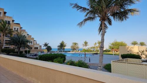 a view of a swimming pool with a palm tree at Nice big Studio Casino view first line in Ras al Khaimah