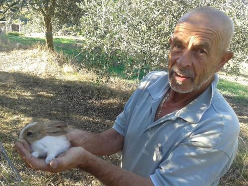 Domácí mazlíčci ubytovaní s hosty v ubytování Agriturismo Santa Chiara