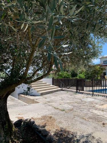 ネーラスにあるCasa da Oliveiraの塀前の木