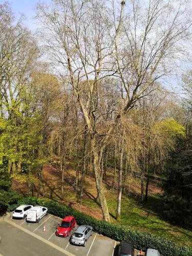 un groupe de voitures garées sur un parking dans l'établissement Chambre d'hôte au PARC DES THIBAUDIERES, à Boussy-Saint-Antoine