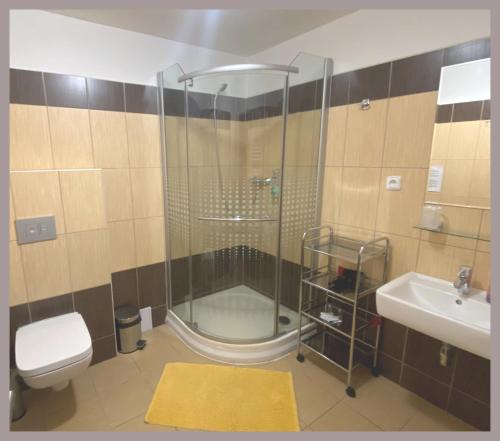 a bathroom with a shower and a toilet and a sink at Apartmány Tiva in Ostrava