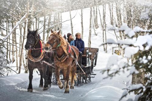 two people riding in a horse drawn carriage in the snow at AlpenParks Apartment & Ferienresort Rehrenberg Viehhofen in Viehhofen