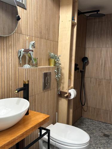 La salle de bains est pourvue d'un lavabo et de toilettes. dans l'établissement Casa Camellia metula, à Metulla