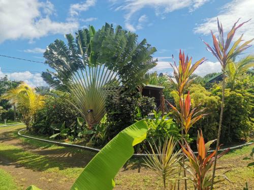 GoyaveにあるAu cœur du papillon piscine collective en familleの多種多様な植物を植えた庭園