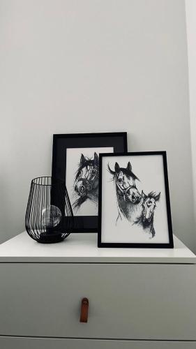a shelf with two pictures of animals on it at BOOGIE Home Kamienica Łódzka in Łódź