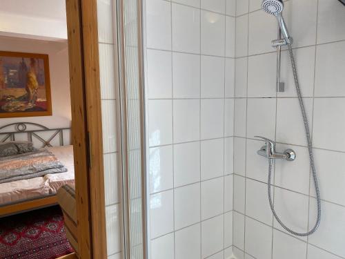 a bathroom with a shower with a glass door at Felsenmühle Neuleiningen in Neuleiningen