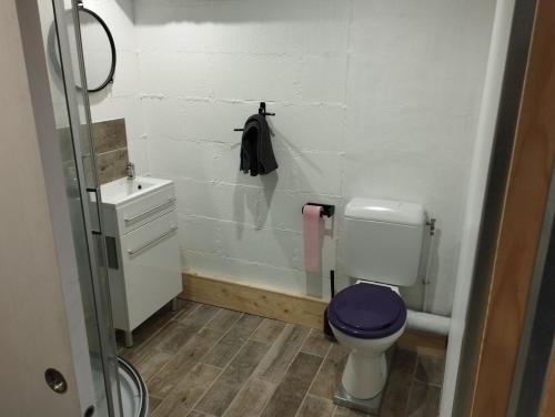 a bathroom with a toilet and a sink at Best Price #1 "L'ANN'EXE" x4 people in Orchamps-Vennes