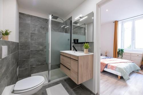 1 cama y baño con ducha y aseo. en Appartement entièrement rénové et cosy avec jardin en Mulhouse