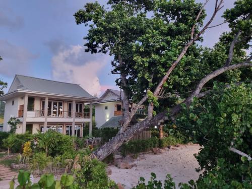 a house on the beach with a tree at La Digue Luxury Beach & Spa in La Digue