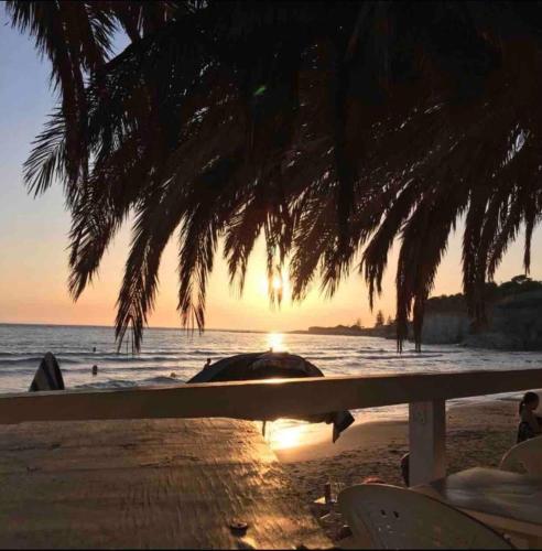 a sunset on a beach with a palm tree at Appartamento il sole 2 piano in Realmonte