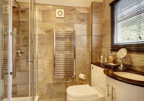 a bathroom with a toilet and a sink and a shower at Ludwick Apartment in Shrewsbury