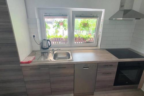 a kitchen with a sink and two windows in it at Kuća za odmor M&M in Gornji Zvečaj