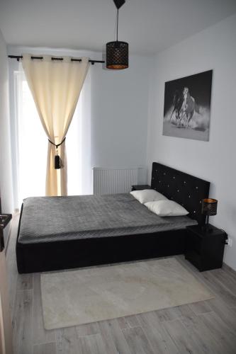 a bedroom with a black bed with a window at Apartament Kadzielnia in Kielce