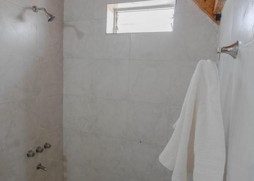 a bathroom with a shower with a white towel at Complejo Yaguareté in Corrientes