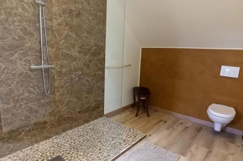 a bathroom with a shower and a toilet at Hoeve Korenzegen. Oase van rust dichtbij strand in De Haan